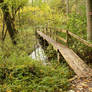 footbridge