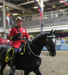 Royal Winter Fair Toronto 2019