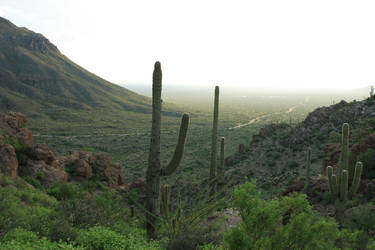 Gates Pass Overview