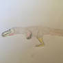 Juvenile tonotyrannus.