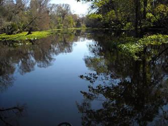 Wekiva Springs 5