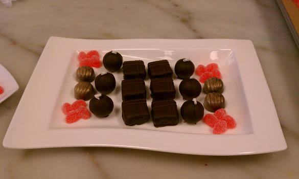 Plated Confections Rectangle