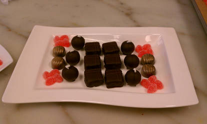 Plated Confections Rectangle