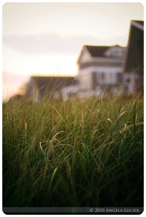 Evening at the Seaside