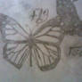 Butterfly Effectsthe