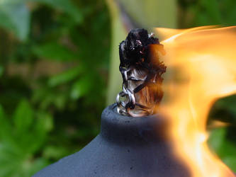 tiki torch ablaze 2