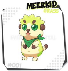 001 Meerkid