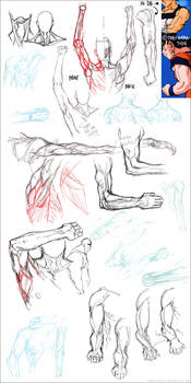 ..::Drawing muscles - panel::..