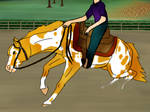 TLECs First Training Show - Reining by Pegasus-Studios