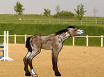 SH WBS Calorodo Gunner by Pegasus-Studios