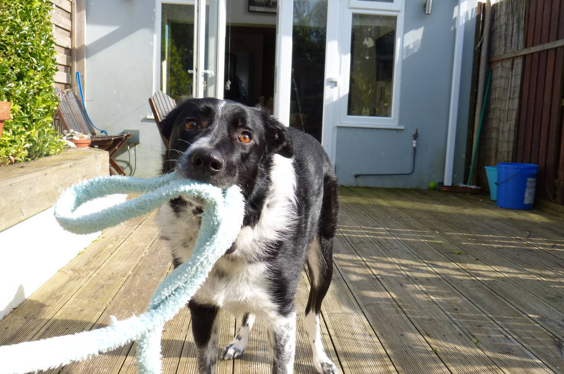 playing with the rope by Peanut789 on DeviantArt