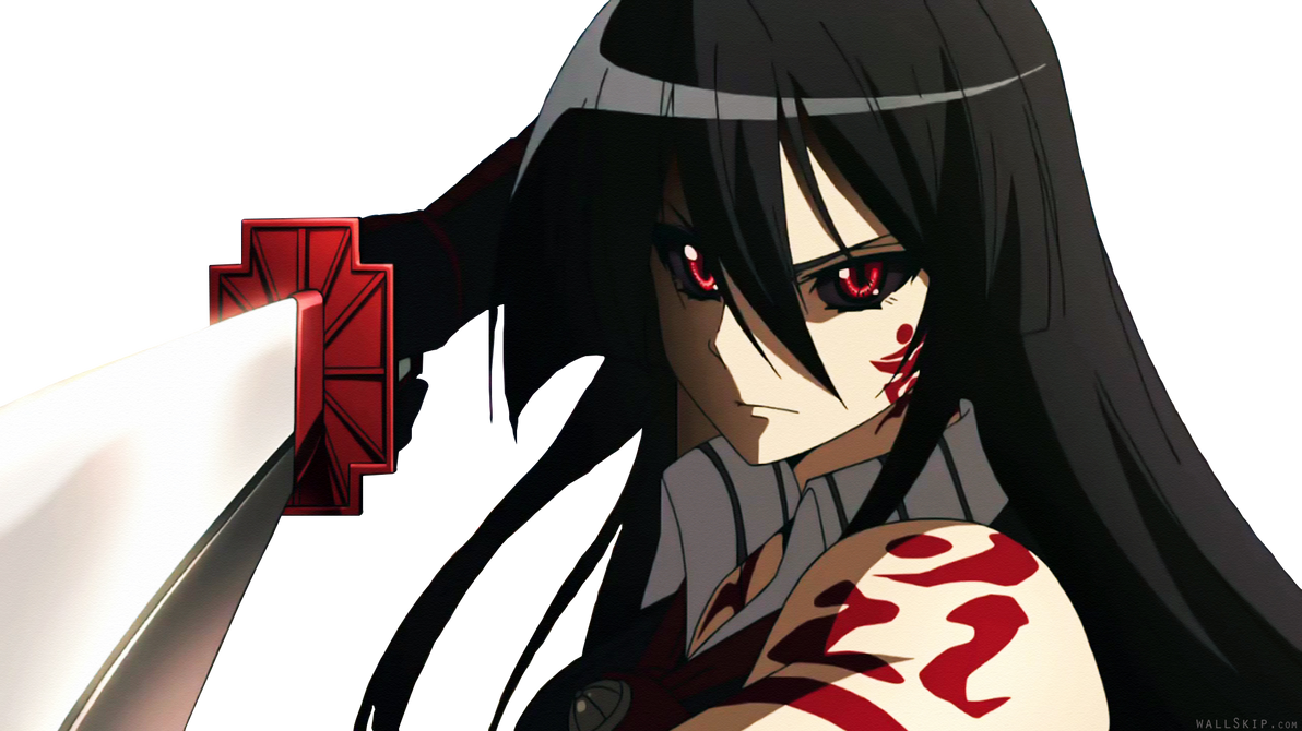 Akame Ga Kill: Akame by MobbinDorrito on DeviantArt