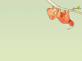 slowpoke wallpaper