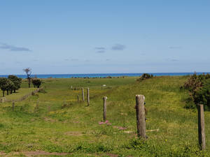 New Zealand views