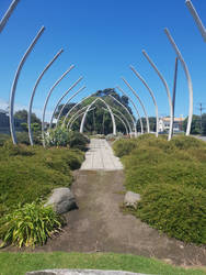 Whale Bone Swing