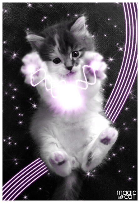 Magic Cat by Jigi on DeviantArt