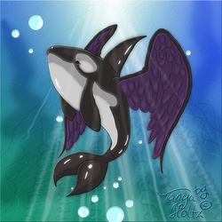 Angelic Orca