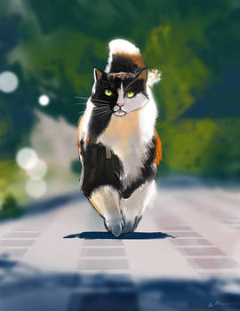 Cat #4