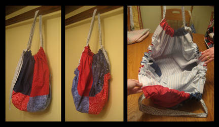 Hobo Bag: Red and Blue
