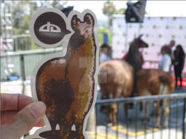 Sticker + Real Llama