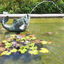 Koi Pond Fountain