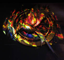THG: Catching Fire