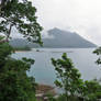 Island View Through the Trees