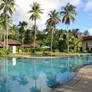 Pool Reflections