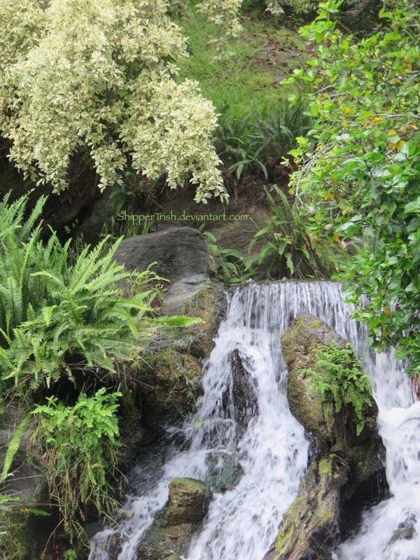 Fern Waterfall