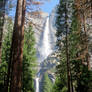 Waterfall Through the Trees