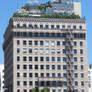 Rooftop Garden