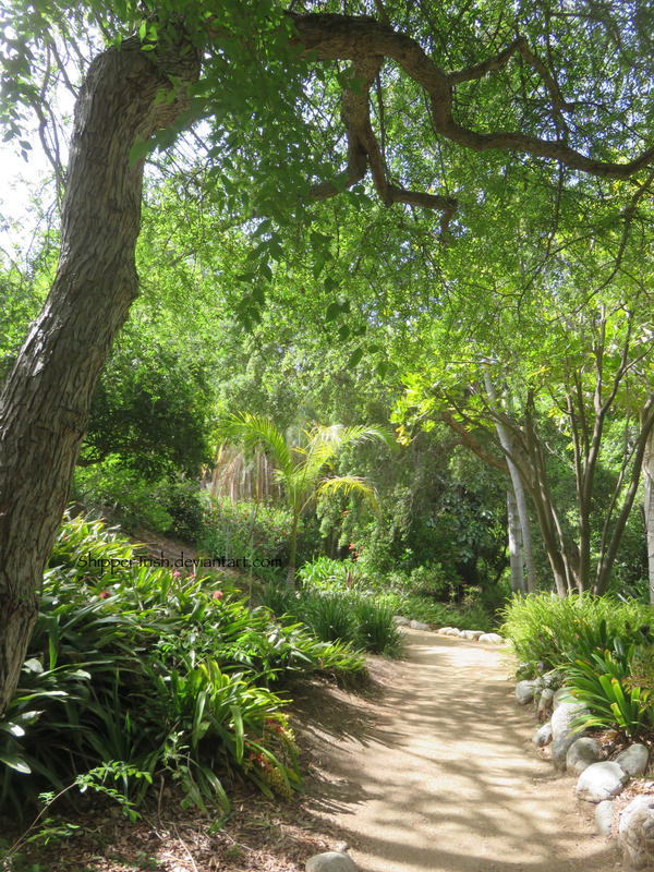 Verdant Path by ShipperTrish on DeviantArt