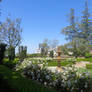 Formal Rose Garden