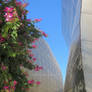 Flowers at the Walt Disney Concert Hall