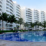 Palm Trees and Pool