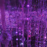 Purple Lights