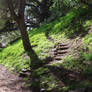 Nature Stairs