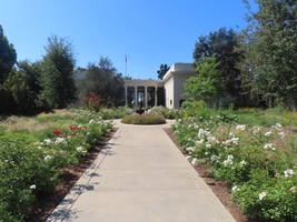 Elegant Garden