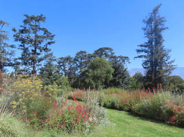 Nature View