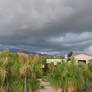 Moody Sky