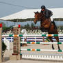 Show Jumping