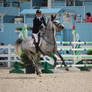 Show Jumping