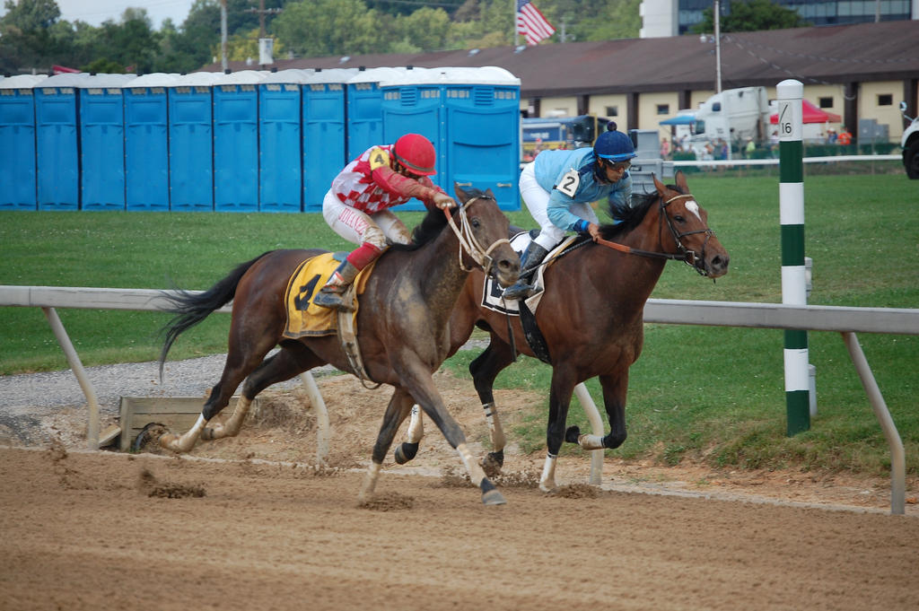 Race Horses