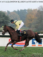 Racehorse_1