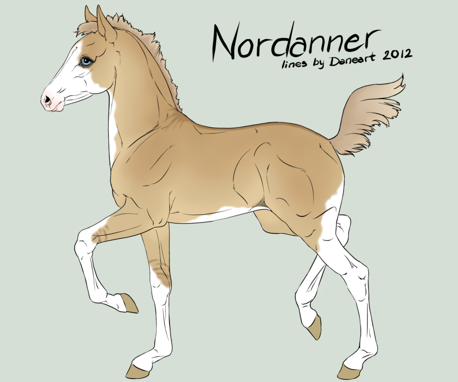 Nordanner Foal #2672