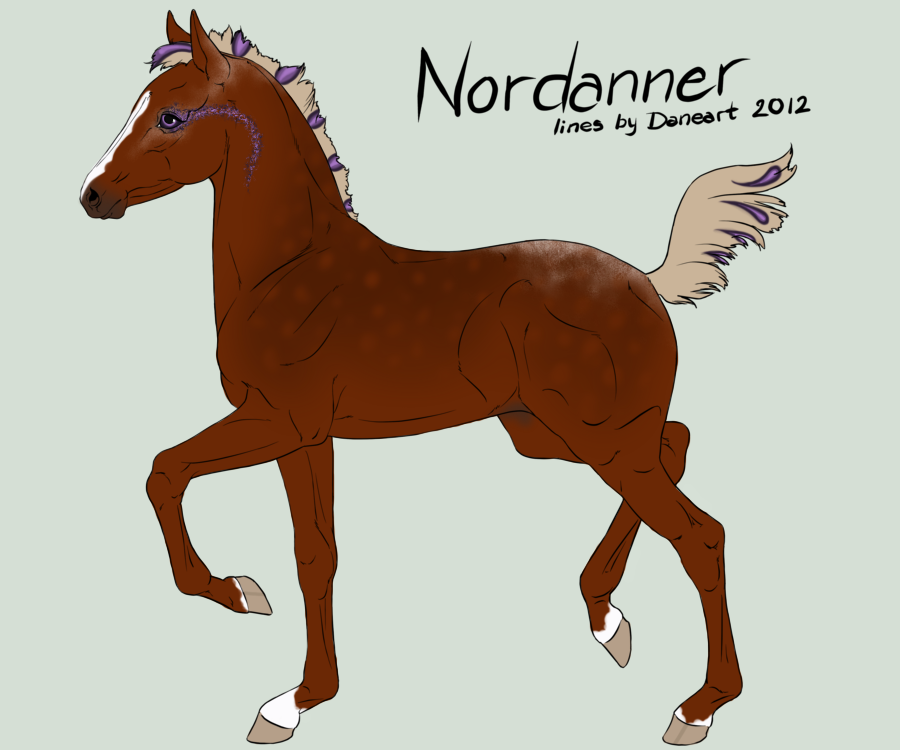 Nordanner Foal #3020