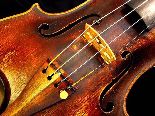 violin