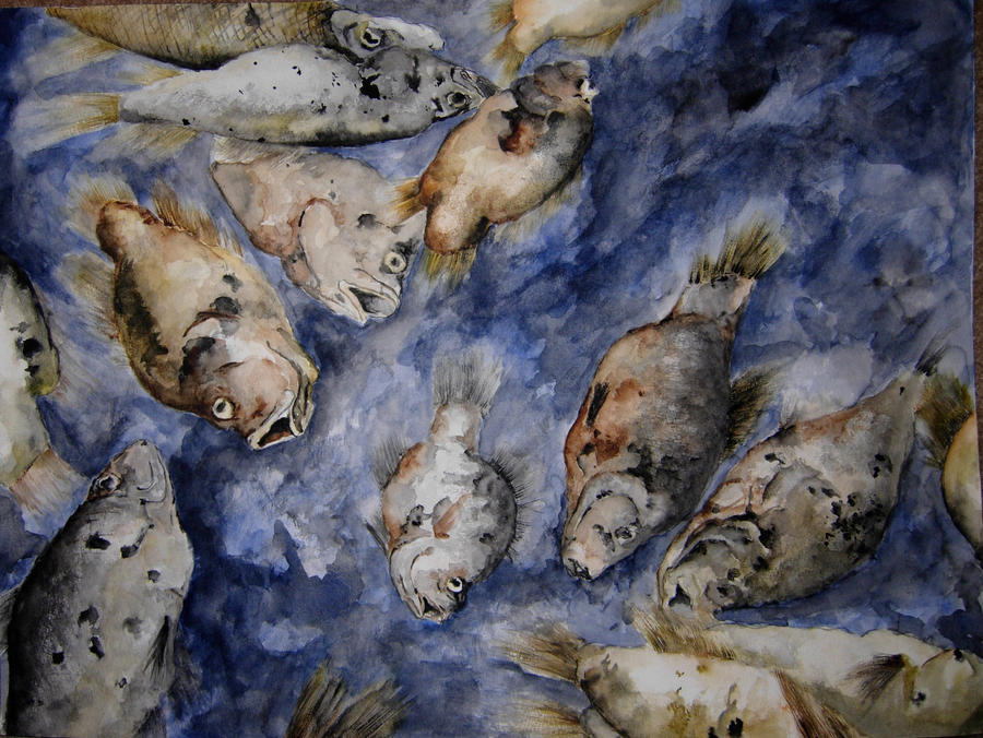 Still Life, Dead Fish. by HerThird on DeviantArt