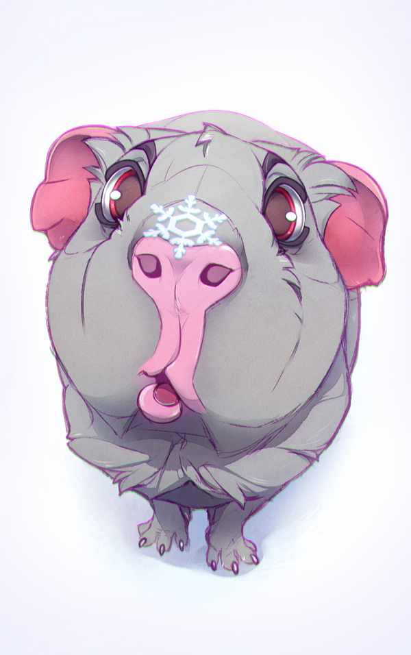 Amazing Wonder Pig