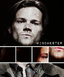 Winchester